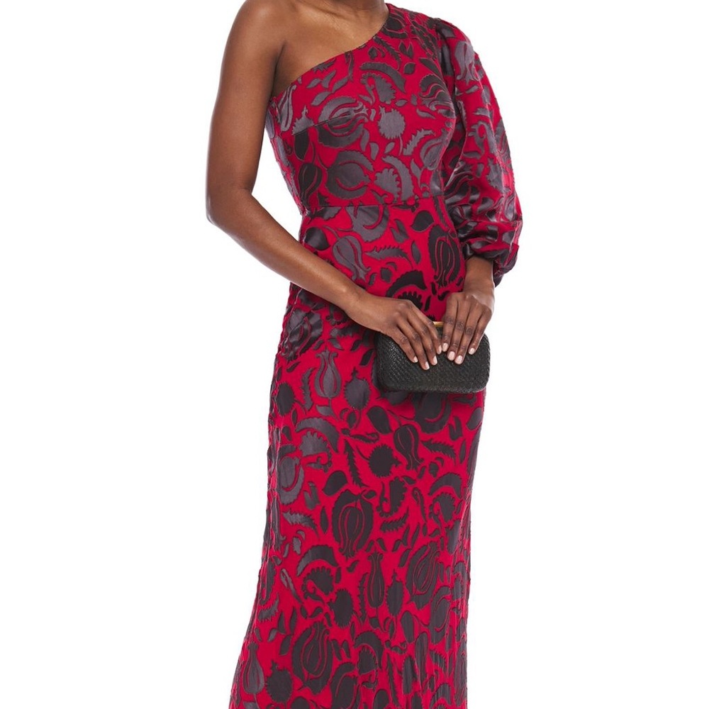 Saloni Lily One Shoulder Gown